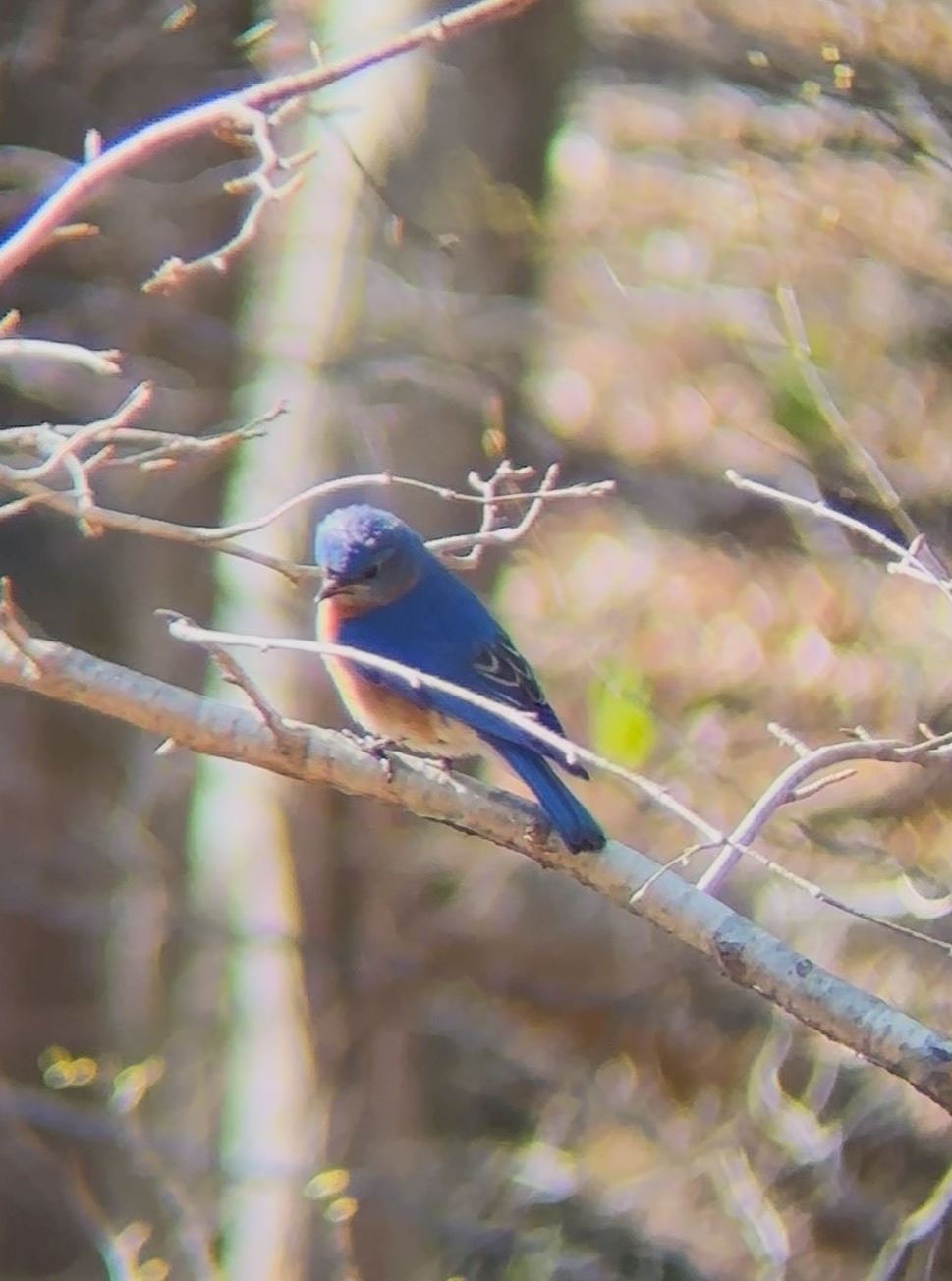 ACBB5652-0F41-40B9-A70B-BD46904B46CE